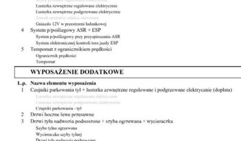 Peugeot Expert 2.0 4×4 Standard Premium full
