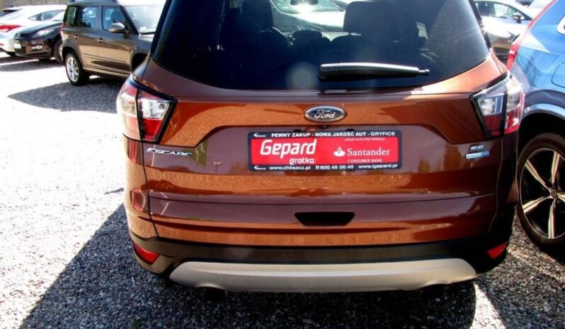 Ford Escape full