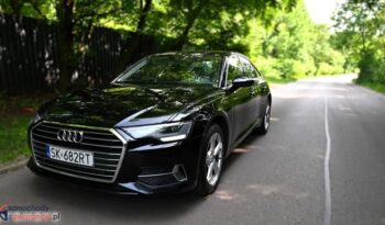 Audi A6 2.0 TDI ultra S tronic full