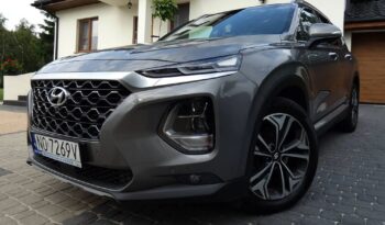 Hyundai Santa Fe 2.0 CRDi Platinum 4WD full
