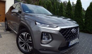 Hyundai Santa Fe 2.0 CRDi Platinum 4WD full