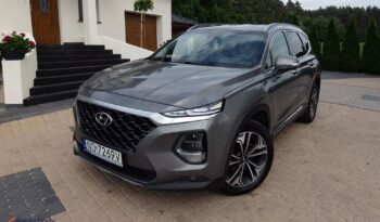 Hyundai Santa Fe 2.0 CRDi Platinum 4WD full