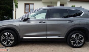 Hyundai Santa Fe 2.0 CRDi Platinum 4WD full