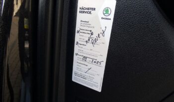 Skoda Kamiq full
