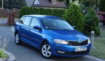 Skoda RAPID 1.6 TDI DPF Style full