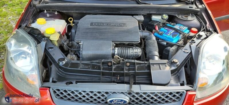 Ford Fiesta 1.3 full
