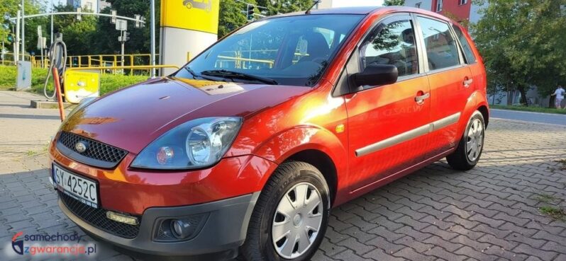 Ford Fiesta 1.3 full