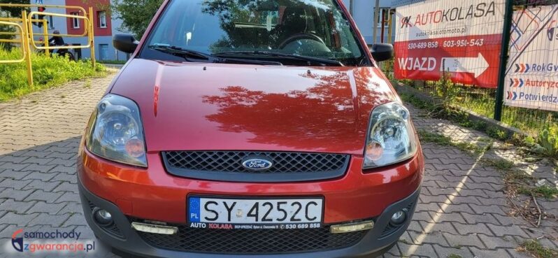 Ford Fiesta 1.3 full