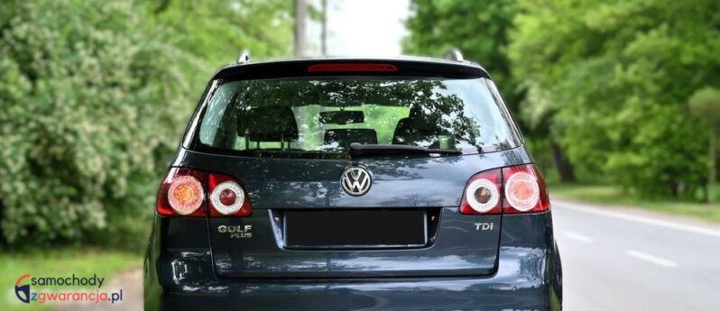 Volkswagen Golf Plus 2.0 TDI Comfortline full