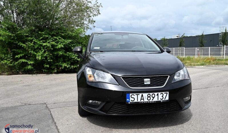 Seat Ibiza full