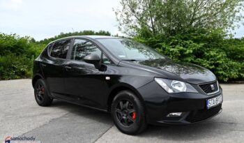 Seat Ibiza full