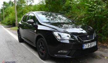 Seat Ibiza full