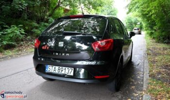 Seat Ibiza full