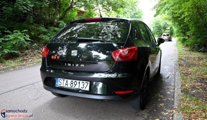 Seat Ibiza full