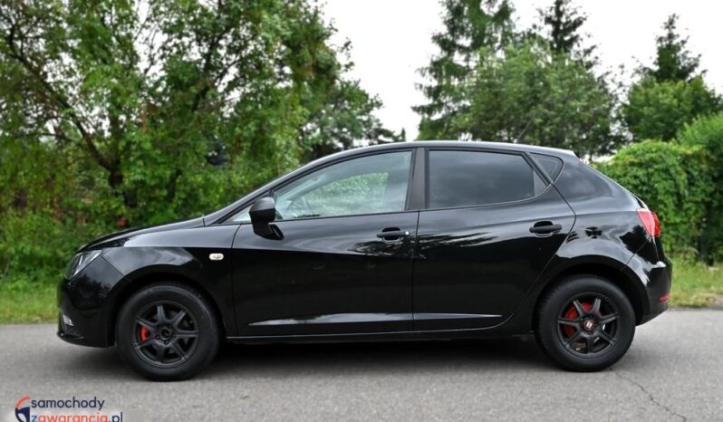 Seat Ibiza full
