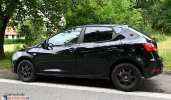 Seat Ibiza full