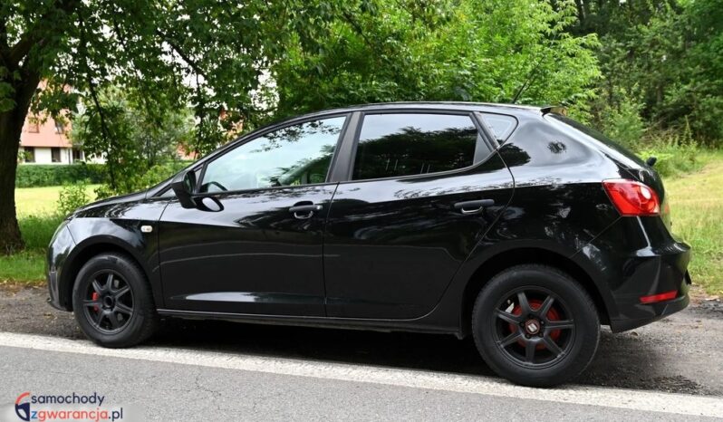 Seat Ibiza full