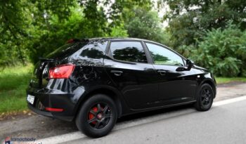 Seat Ibiza full