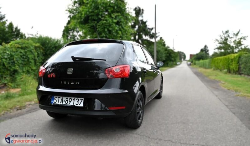 Seat Ibiza full
