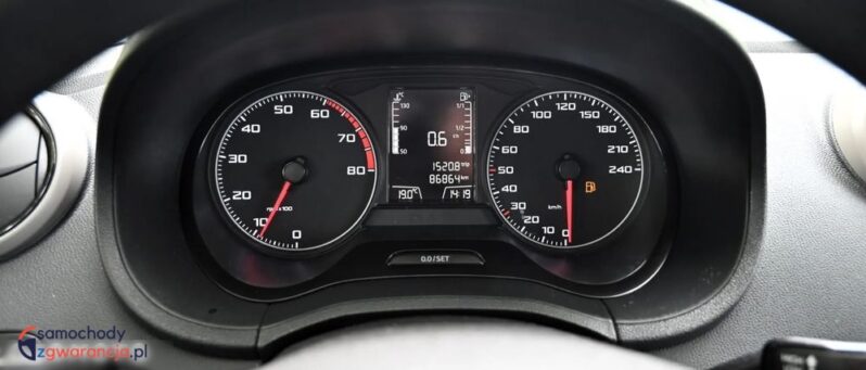 Seat Ibiza full