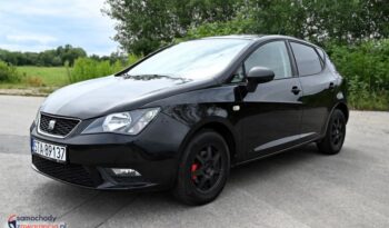 Seat Ibiza full