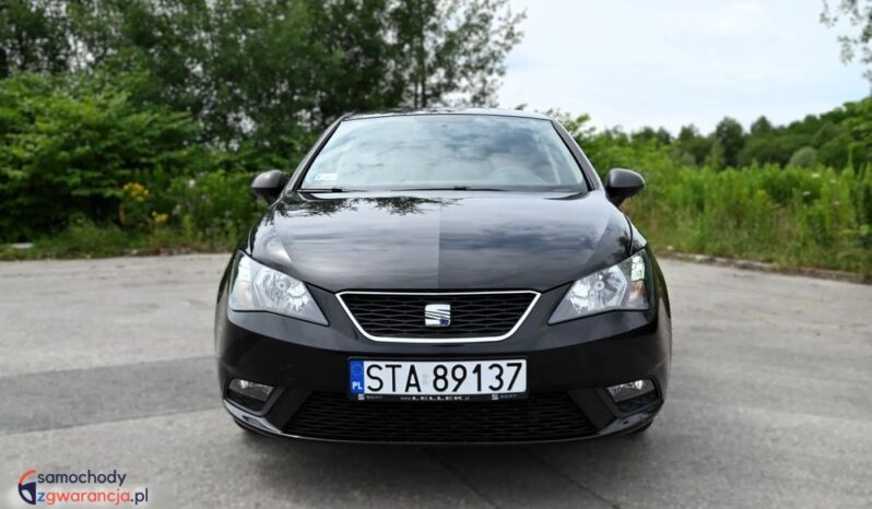Seat Ibiza full