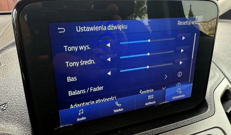 Ford Transit Connect full