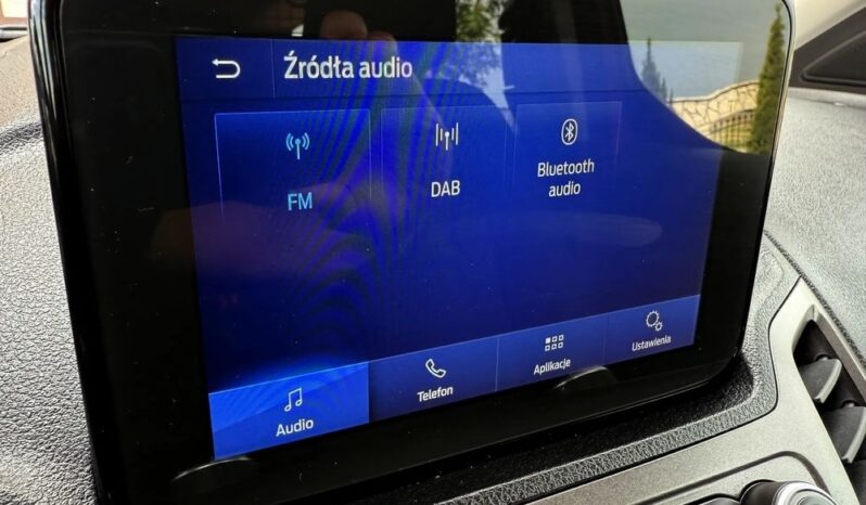 Ford Transit Connect full