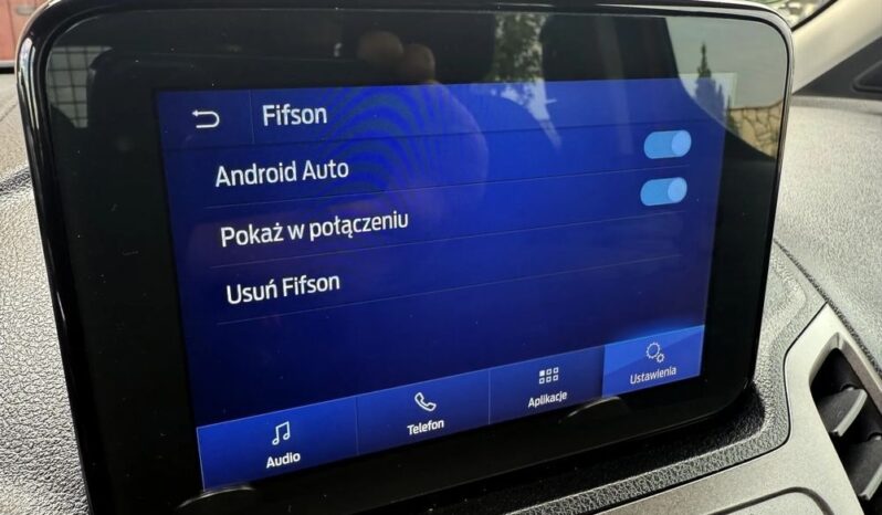 Ford Transit Connect full