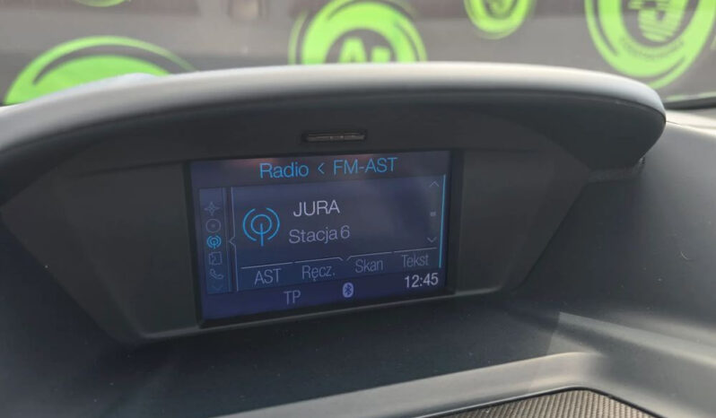 Ford Grand C-MAX full