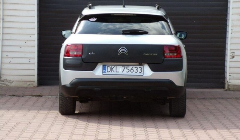 Citroën C4 Cactus full
