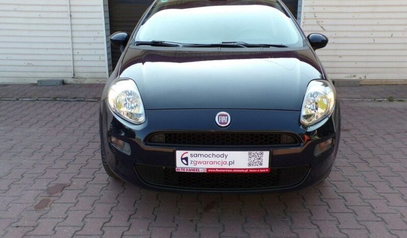 Fiat Punto Evo full