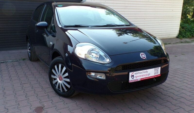 Fiat Punto Evo full