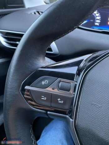 Peugeot 3008 full
