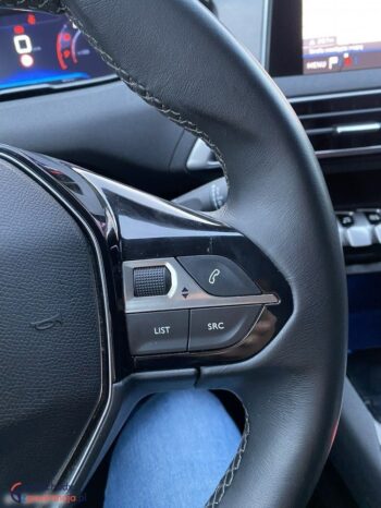 Peugeot 3008 full