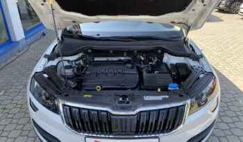Skoda Karoq full