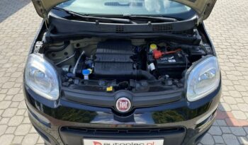 Fiat Panda full