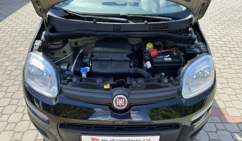 Fiat Panda full