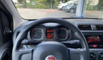 Fiat Panda full