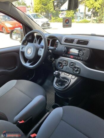 Fiat Panda full