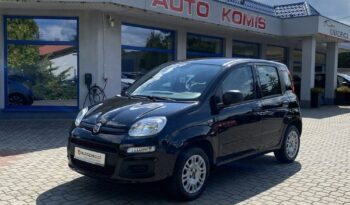 Fiat Panda full