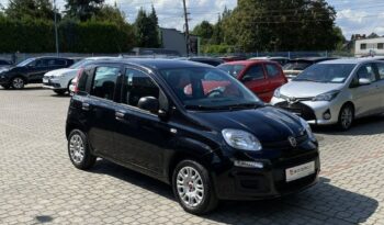 Fiat Panda full