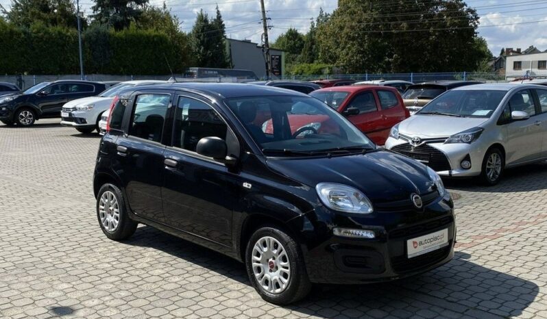 Fiat Panda full