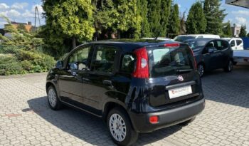 Fiat Panda full