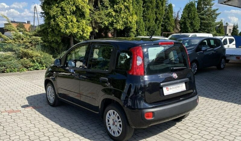 Fiat Panda full