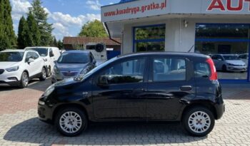 Fiat Panda full