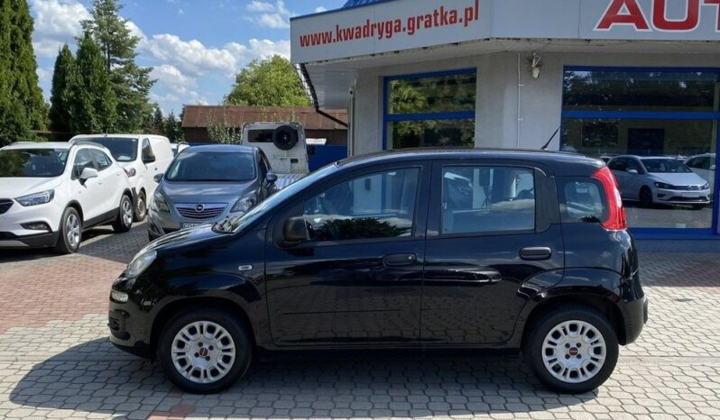 Fiat Panda full