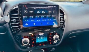 Nissan Juke full