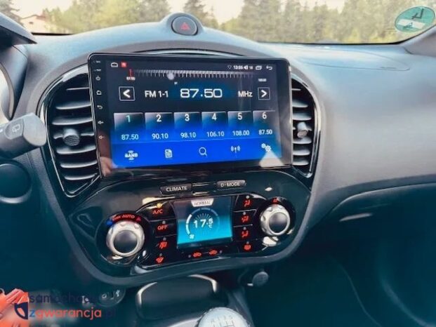 Nissan Juke full