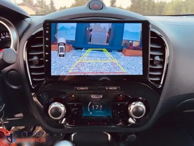 Nissan Juke full